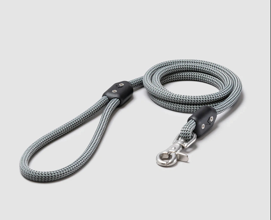 Lifetime Leash