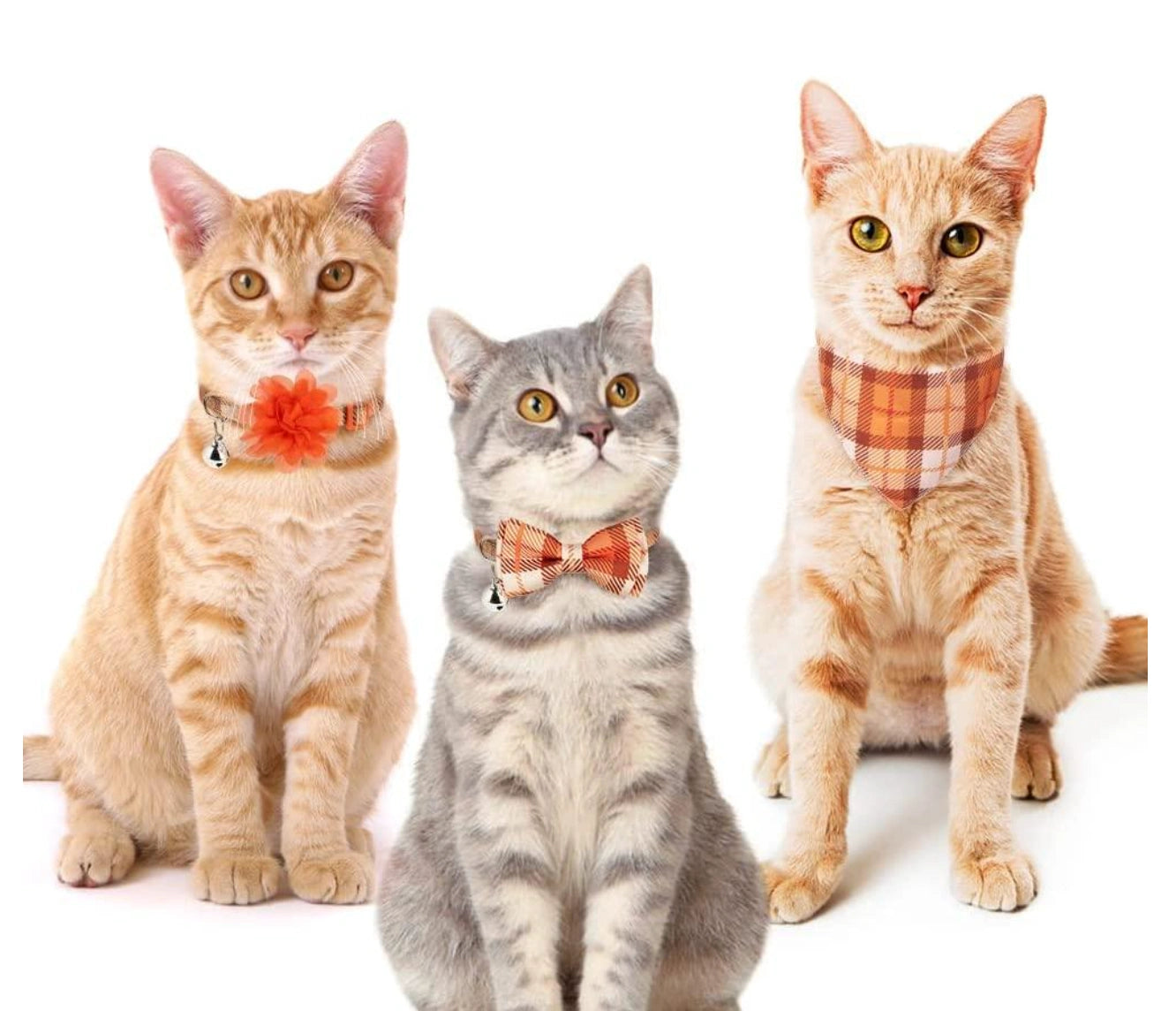 VKPETFR Breakaway Cat Collar Set