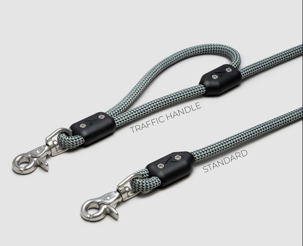 Lifetime Leash