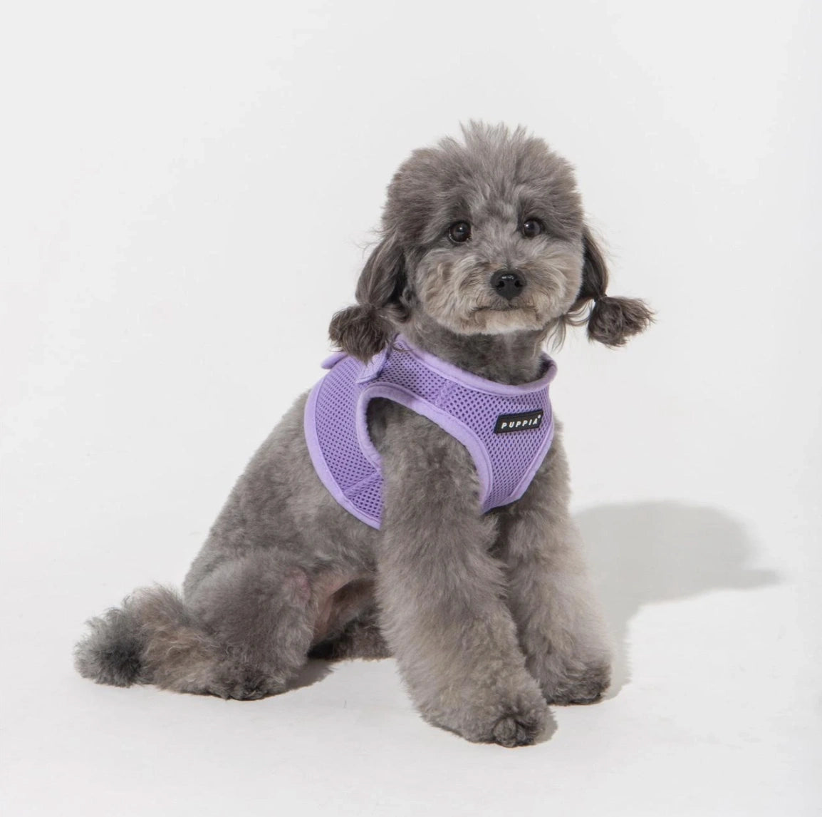 Puppia Soft Mesh Dog Harnes